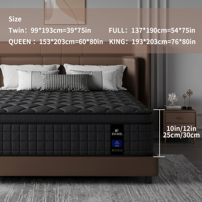 Memory Foam Pocketed Coil Mattress